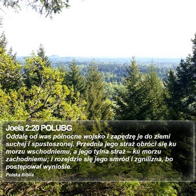 Joela 2:20 POLUBG Bible Verse Image