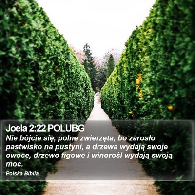 Joela 2:22 POLUBG Bible Verse Image