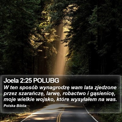 Joela 2:25 POLUBG Bible Verse Image
