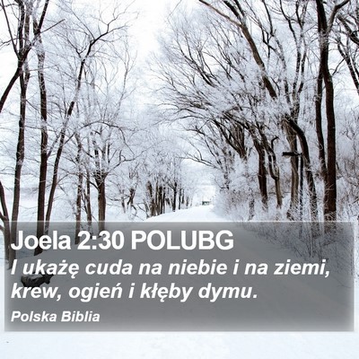 Joela 2:30 POLUBG Bible Verse Image