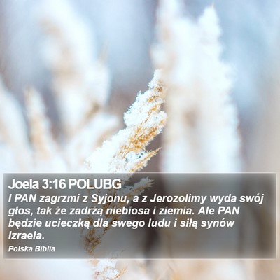 Joela 3:16 POLUBG Bible Verse Image