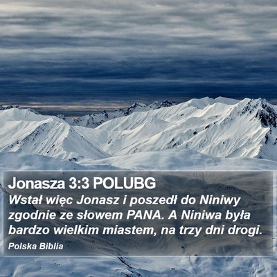 Jonasza 3:3 POLUBG Bible Verse Image