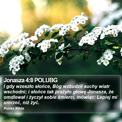 Jonasza 4:8 POLUBG Bible Verse Image