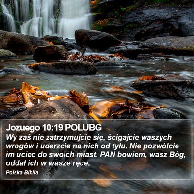 Jozuego 10:19 POLUBG Bible Verse Image