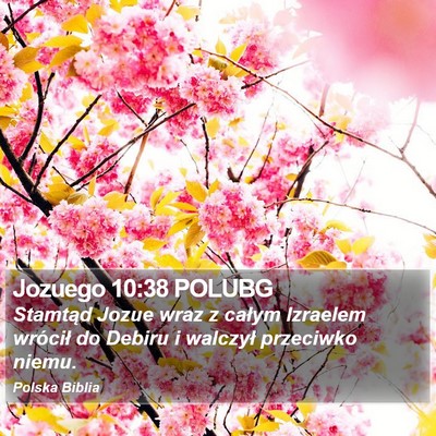 Jozuego 10:38 POLUBG Bible Verse Image