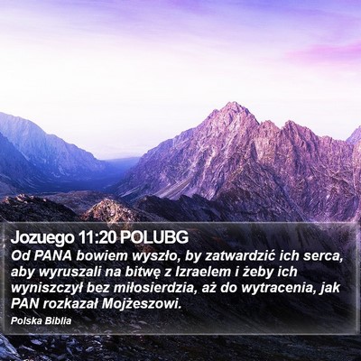 Jozuego 11:20 POLUBG Bible Verse Image