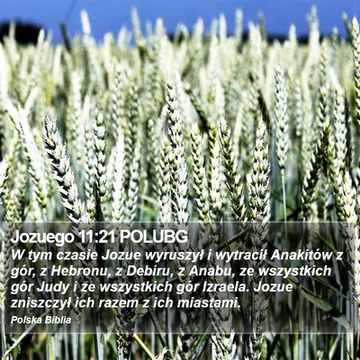 Jozuego 11:21 POLUBG Bible Verse Image