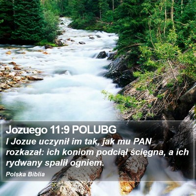 Jozuego 11:9 POLUBG Bible Verse Image