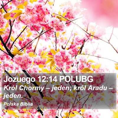 Jozuego 12:14 POLUBG Bible Verse Image