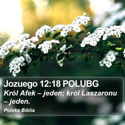 Jozuego 12:18 POLUBG Bible Verse Image