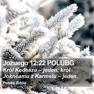 Jozuego 12:22 POLUBG Bible Verse Image