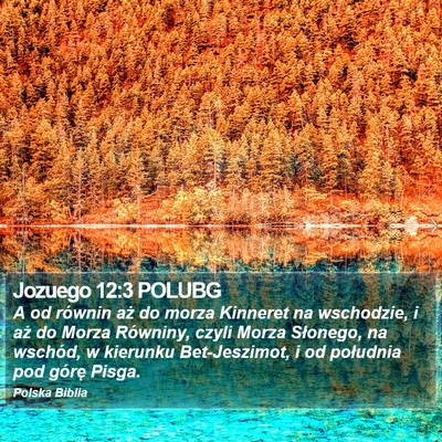 Jozuego 12:3 POLUBG Bible Verse Image