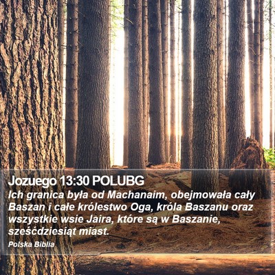 Jozuego 13:30 POLUBG Bible Verse Image