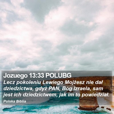 Jozuego 13:33 POLUBG Bible Verse Image