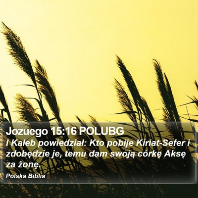 Jozuego 15:16 POLUBG Bible Verse Image