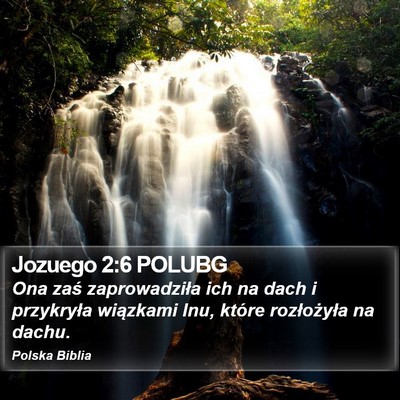 Jozuego 2:6 POLUBG Bible Verse Image