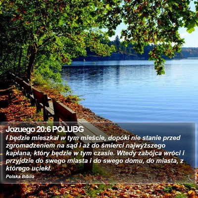Jozuego 20:6 POLUBG Bible Verse Image