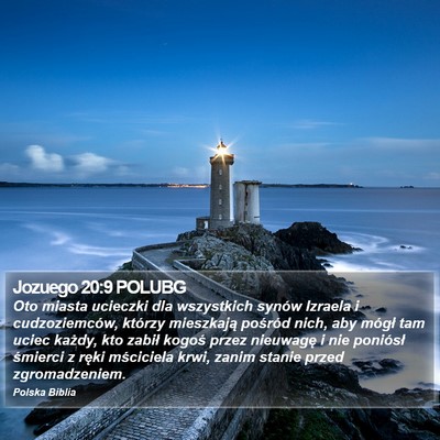 Jozuego 20:9 POLUBG Bible Verse Image