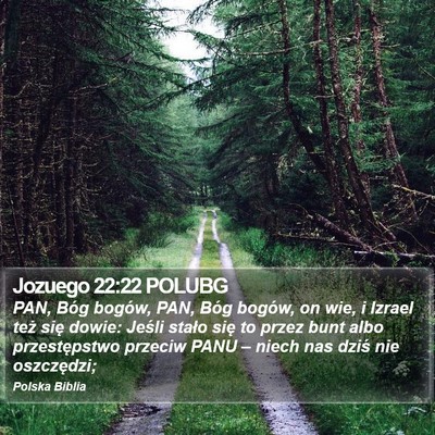 Jozuego 22:22 POLUBG Bible Verse Image