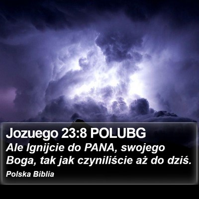 Jozuego 23:8 POLUBG Bible Verse Image