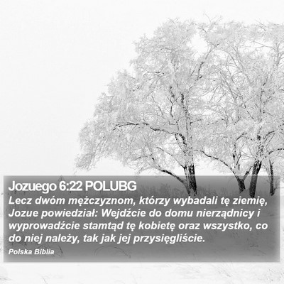 Jozuego 6:22 POLUBG Bible Verse Image