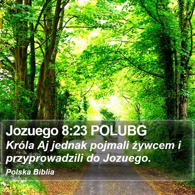 Jozuego 8:23 POLUBG Bible Verse Image