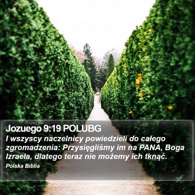 Jozuego 9:19 POLUBG Bible Verse Image
