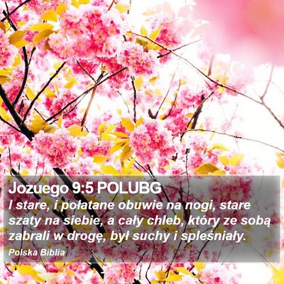 Jozuego 9:5 POLUBG Bible Verse Image