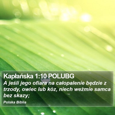 Kapłańska 1:10 POLUBG Bible Verse Image