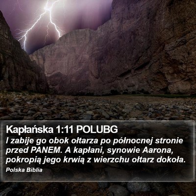 Kapłańska 1:11 POLUBG Bible Verse Image