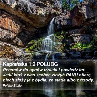 Kapłańska 1:2 POLUBG Bible Verse Image