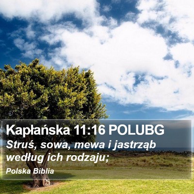 Kapłańska 11:16 POLUBG Bible Verse Image