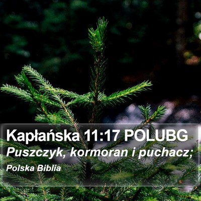Kapłańska 11:17 POLUBG Bible Verse Image