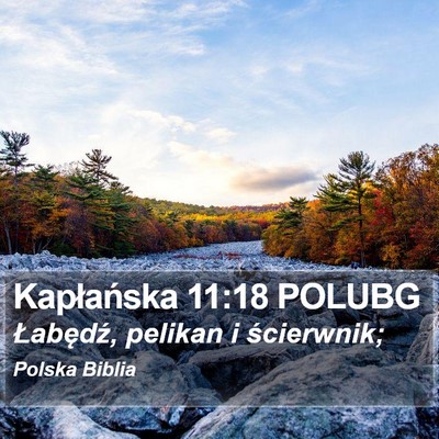 Kapłańska 11:18 POLUBG Bible Verse Image