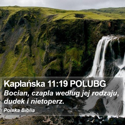 Kapłańska 11:19 POLUBG Bible Verse Image