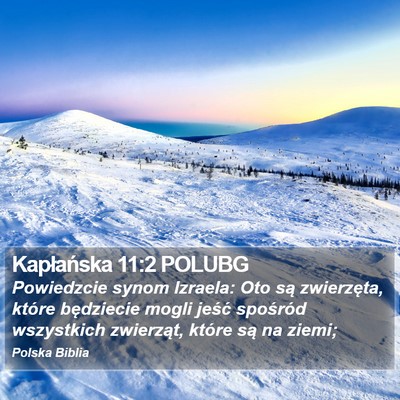 Kapłańska 11:2 POLUBG Bible Verse Image