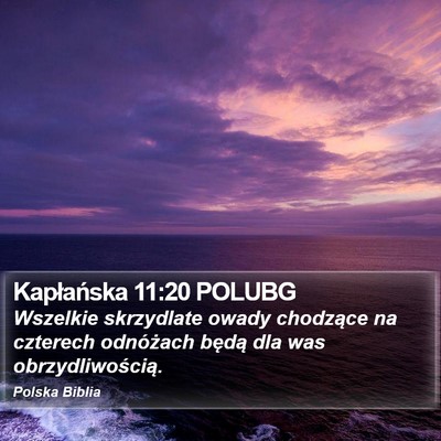 Kapłańska 11:20 POLUBG Bible Verse Image