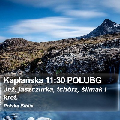 Kapłańska 11:30 POLUBG Bible Verse Image