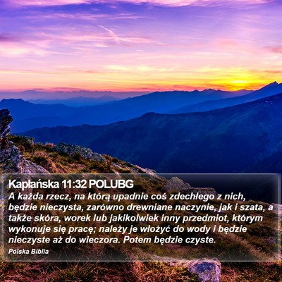 Kapłańska 11:32 POLUBG Bible Verse Image