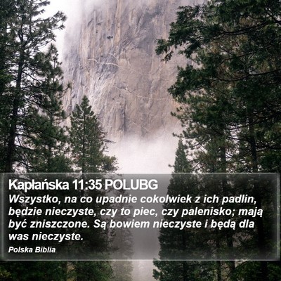Kapłańska 11:35 POLUBG Bible Verse Image