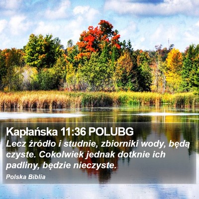 Kapłańska 11:36 POLUBG Bible Verse Image
