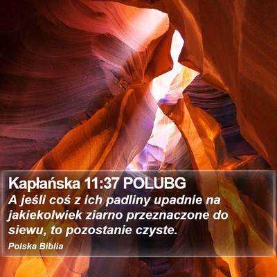 Kapłańska 11:37 POLUBG Bible Verse Image