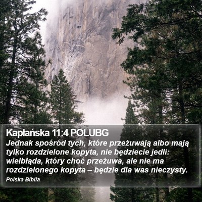 Kapłańska 11:4 POLUBG Bible Verse Image