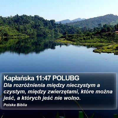 Kapłańska 11:47 POLUBG Bible Verse Image