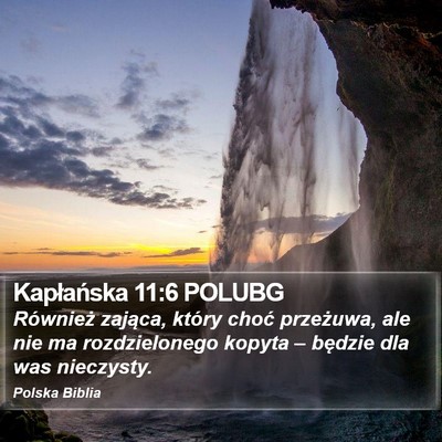 Kapłańska 11:6 POLUBG Bible Verse Image