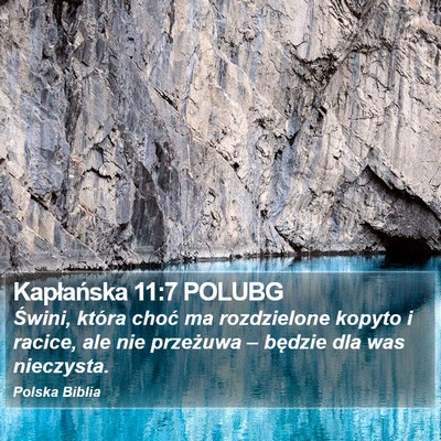 Kapłańska 11:7 POLUBG Bible Verse Image