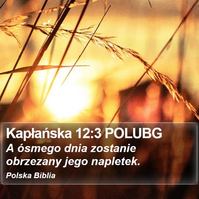 Kapłańska 12:3 POLUBG Bible Verse Image