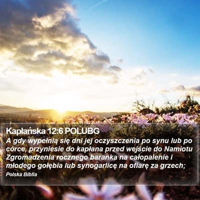 Kapłańska 12:6 POLUBG Bible Verse Image