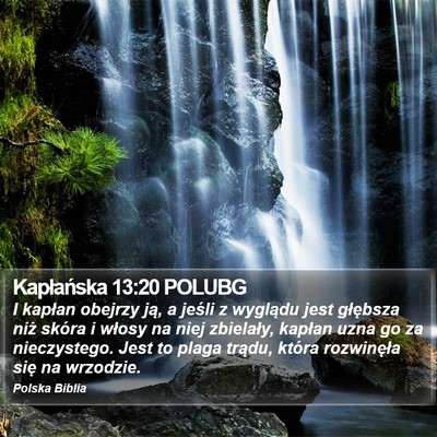 Kapłańska 13:20 POLUBG Bible Verse Image