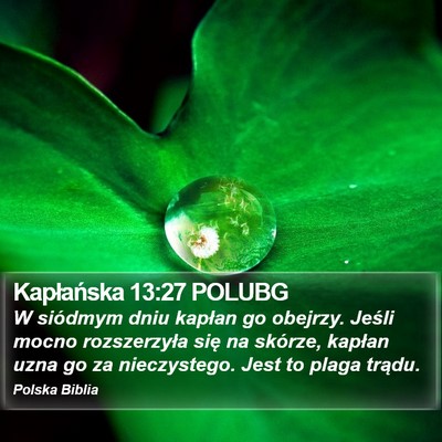 Kapłańska 13:27 POLUBG Bible Verse Image